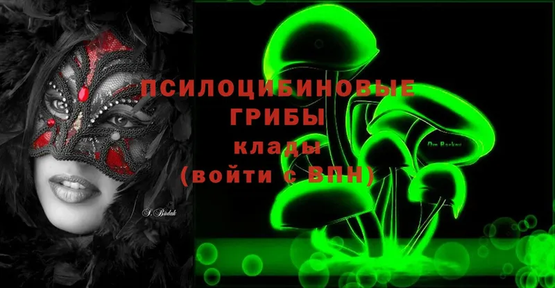 Галлюциногенные грибы Psilocybe  hydra как зайти  Великий Устюг 